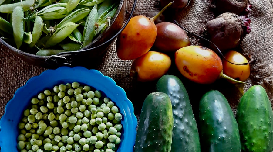 Supporting Food 4 Farmers - An Update from Ally Coffee