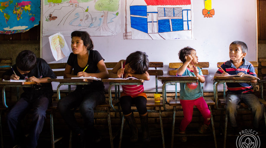 Supporting Project Alianza - An Update from Ally Coffee