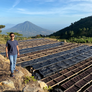 El Salvador Los Pirineos Rume Sudan Anaerobic Black Honey | 25 lb | A-4823