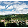 Sample | Costa Rica Aquiares Centroamericano Anaerobic Natural | 25 lb | A-4666