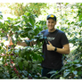 El Salvador Santa Matilde Bourbon Natural | 25 lb | A-4718