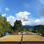 Colombia El Puente Honey | 25 lb | A-4803