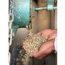 Colombia Galeras Decaf | 25 lb | A-4501