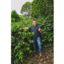 Colombia El Puente Honey | 25 lb | A-4803