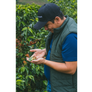 Colombia Monteblanco Pink Bourbon Thermal Shock Washed | 25 lb | A-4672