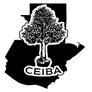 Guatemala Ceiba | 50 lb | A-4639