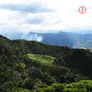 Colombia Excelso Washed | 50 lb | A-6575