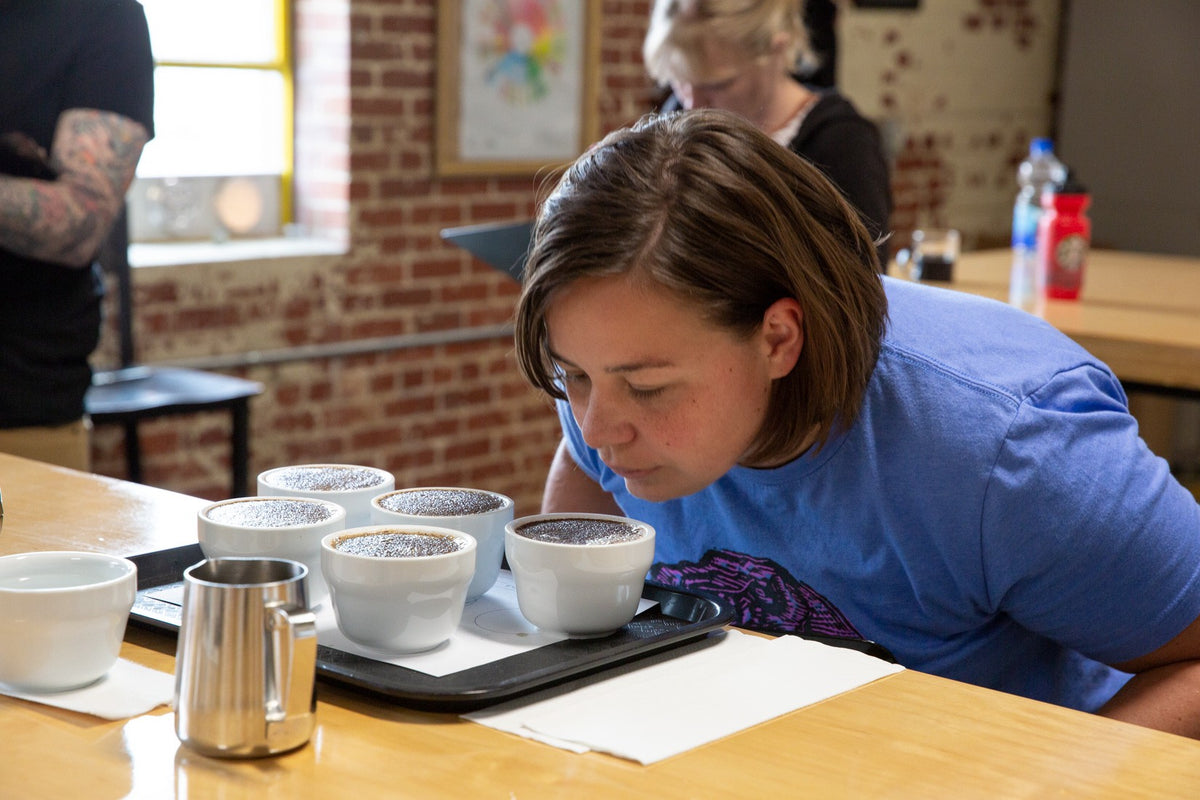 All About Accessible Learning Programs – Ally Open