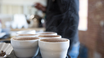 Tips for Improving Your Palate for Coffee Tasting
