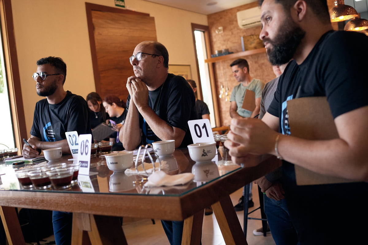 Why is cupping calibration an important QC practice? Ally Open