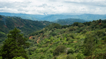 Origin Report - Costa Rica