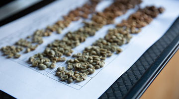 Common Chemical Reactions in Coffee Roasting