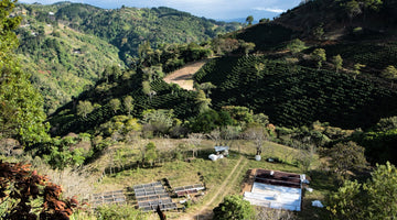 Café de Costa Rica - Keeping Connected: An Online Event with Ally Coffee and ICAFE