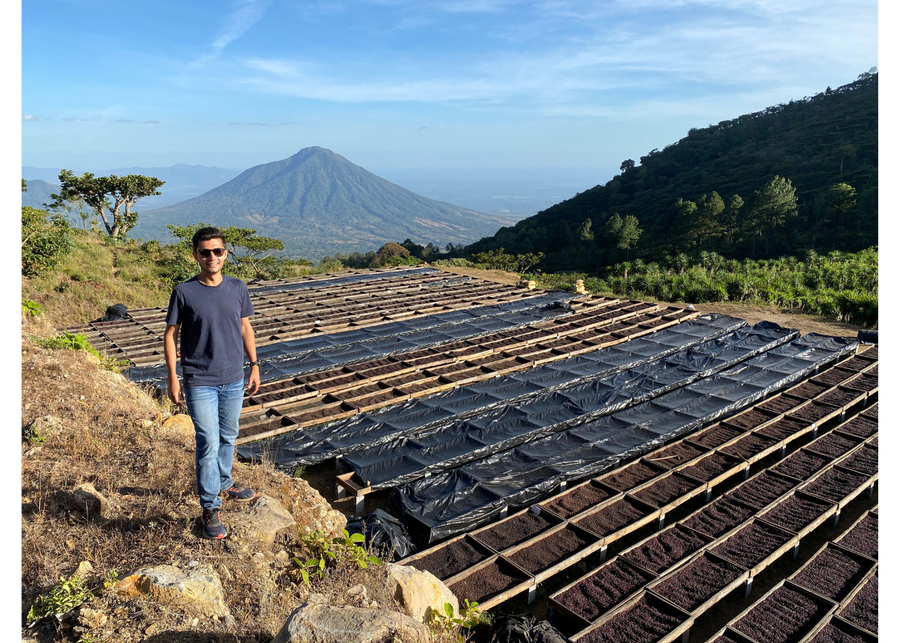 El Salvador Los Pirineos Rume Sudan Anaerobic Black Honey | 25 lb | A-4823