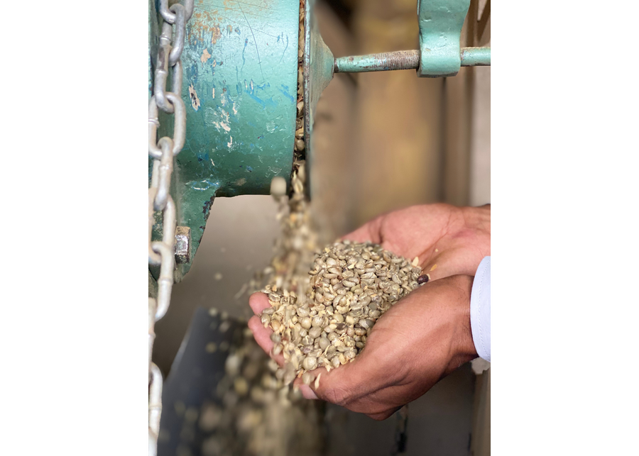 Sample | Colombia Galeras Decaf | A-4501