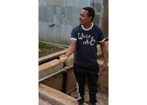 Ethiopia Koke Honey | 25 lb | A-4647