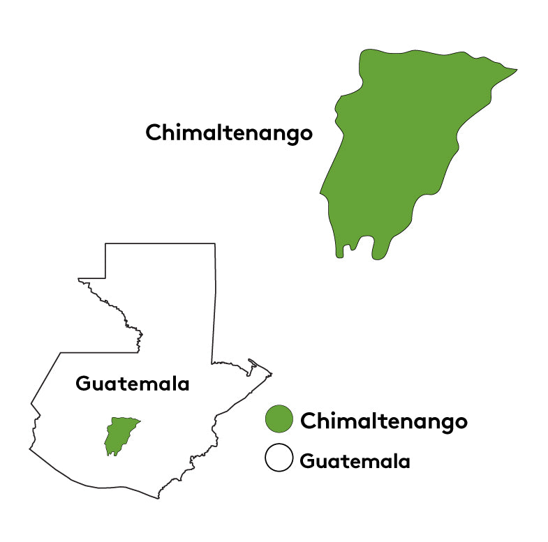 Guatemala Primavera Swiss Water Decaf | 50 lb | A-6858