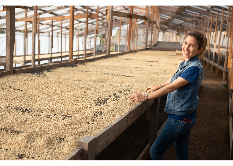 Honduras San Isidro Anaerobic Red Honey | 25 lb | A-4176