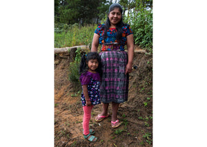 Guatemala Ceiba | 50 lb | A-3943