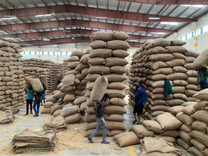 Ethiopia Guji Uraga Solomo 20 Day Anaerobic Natural | 25 lb | A-3481