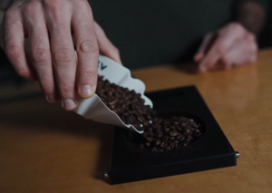 The Essential Coffee Roasting Course featuring Rob Hoos